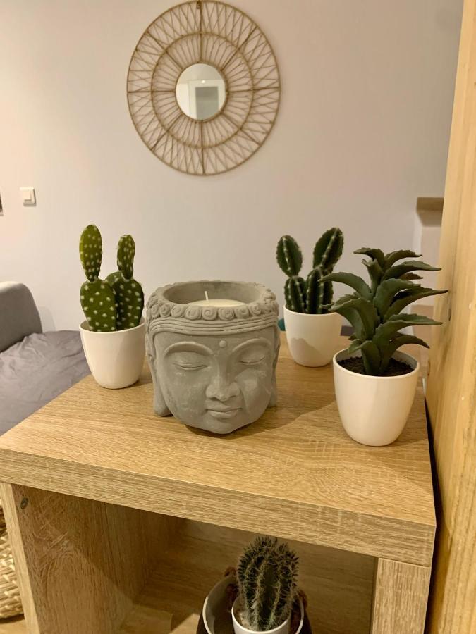 Studio Cosy Kaysersberg Centre Экстерьер фото