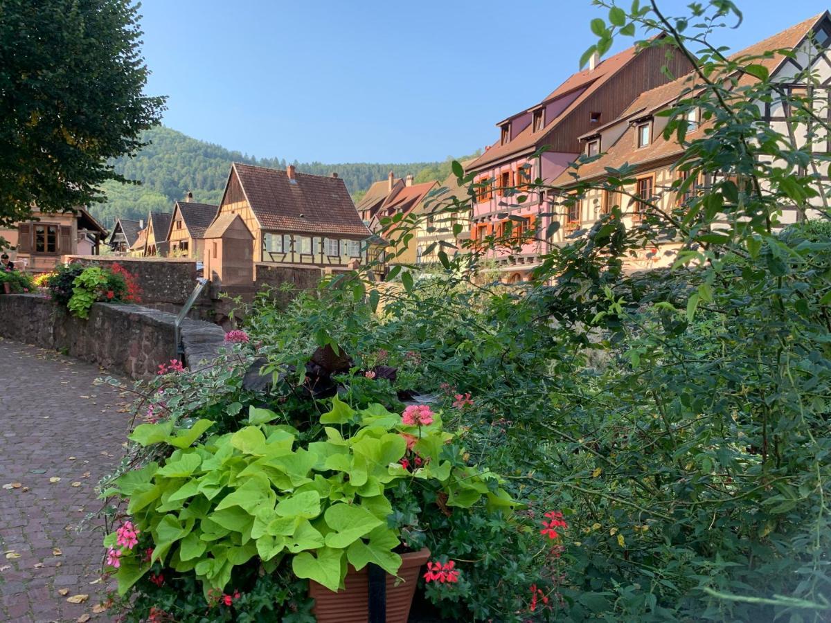 Studio Cosy Kaysersberg Centre Экстерьер фото