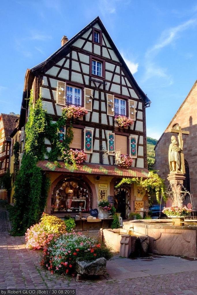 Studio Cosy Kaysersberg Centre Экстерьер фото